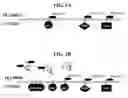 Fig. 02 - CELL STABILIZATION