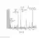 Fig. 03 - Methods to convert lignin to phenolic and carboxylate compounds