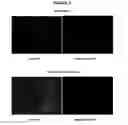 Fig. 03 - SELENIUM-BASED BIOCIDAL FORMULATIONS AND METHODS OF USE THEREOF