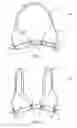 Fig. 02 - Garment