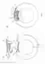 Fig. 08 - Detachable wrist coach
