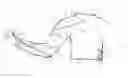 Fig. 01 - SLEEVE WITH EXTERNAL ASSISTANCE DURING AN ARM MOTION