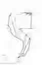 Fig. 02 - SLEEVE WITH EXTERNAL ASSISTANCE DURING AN ARM MOTION