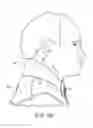 Fig. 04 - Golf jacket having weather-protective collar