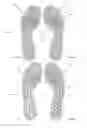 Fig. 31 - Customized footwear, and systems and methods for designing and manufacturing same