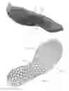 Fig. 37 - Customized footwear, and systems and methods for designing and manufacturing same