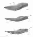 Fig. 46 - Customized footwear, and systems and methods for designing and manufacturing same