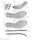 Fig. 49 - Customized footwear, and systems and methods for designing and manufacturing same