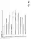 Fig. 09 - VERSATILE WALKING CANE