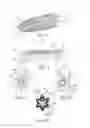 Fig. 03 - Applicator for applying a product to the eyelashes and/or eyebrows