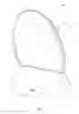 Fig. 06 - PALM-HELD ELECTRIC BATH MASSAGE BRUSH