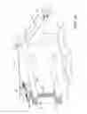Fig. 07 - Expandable chair