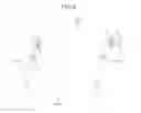 Fig. 05 - Showcase