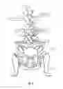 Fig. 06 - POT HOLDER