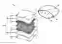 Fig. 01 - WASHABLE PILLOW