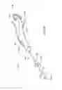 Fig. 30 - Method of performing a sphenopalatine ganglion block procedure
