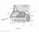 Fig. 32 - Method of performing a sphenopalatine ganglion block procedure