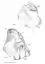 Fig. 05 - Laparascope and endoscope cleaning and defogging device