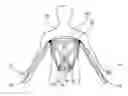 Fig. 01 - METHOD AND DEVICE FOR A BIOELECTRIC IMPEDANCE ANALYSIS (BIA) OF THE BODY OF A PERSON