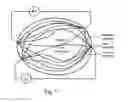 Fig. 07 - METHOD FOR RESPIRATORY MEASUREMENT