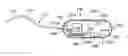 Fig. 01 - Optical capsule and spectroscopic method for treating and diagnosing the intestinal tract