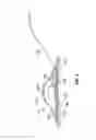 Fig. 03 - Optical capsule and spectroscopic method for treating and diagnosing the intestinal tract