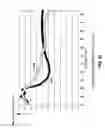 Fig. 21 - Optical capsule and spectroscopic method for treating and diagnosing the intestinal tract