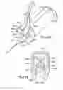Fig. 65 - Safety blood collection assembly with indicator