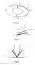 Fig. 03 - Skin-mountable medical device