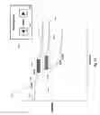 Fig. 14 - Percutaneous coronary intervention (PCI) planning interface with pressure data and vessel data and associated devices, systems, and methods