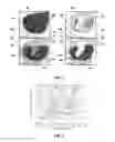 Fig. 03 - ACTIVE WATER PHANTOM FOR THREE-DIMENSIONAL ION BEAM THERAPY QUALITY ASSURANCE