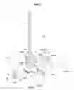 Fig. 08 - Mammography apparatus