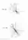 Fig. 12 - System And Method For Time-Resolved, Three-Dimensional Angiography With Physiological Information