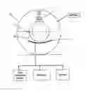 Fig. 01 - Detector apparatus for cone beam computed tomography