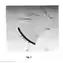 Fig. 04 - Detector apparatus for cone beam computed tomography