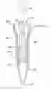 Fig. 01 - Tissue retractor apparatus and methods