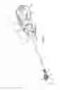 Fig. 02 - Threaded knotless anchor
