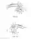 Fig. 10 - Threaded knotless anchor