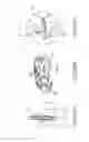 Fig. 16 - Threaded knotless anchor