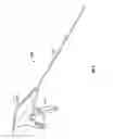 Fig. 04 - Multiple member interconnect for surgical instrument and absorbable screw fastener