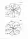 Fig. 11 - Occluder and anastomosis devices