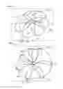 Fig. 16 - Occluder and anastomosis devices