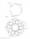 Fig. 23 - Occluder and anastomosis devices