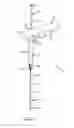 Fig. 02 - Method for placing a cannula in a bladder