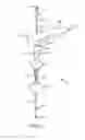Fig. 04 - Method for placing a cannula in a bladder