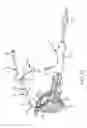 Fig. 17 - Method for placing a cannula in a bladder