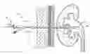Fig. 01 - Expandable percutaneous sheath