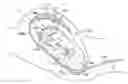 Fig. 01 - Intrauterine balloon apparatus, system, and method for augmenting uterine birthing forces during parturition