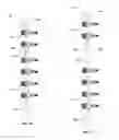 Fig. 05 - GROWING SPINAL RODS AND PEDICLE SCREWS FOR SECURING MULTIPLE SPINAL RODS