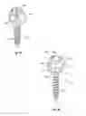 Fig. 10 - GROWING SPINAL RODS AND PEDICLE SCREWS FOR SECURING MULTIPLE SPINAL RODS
